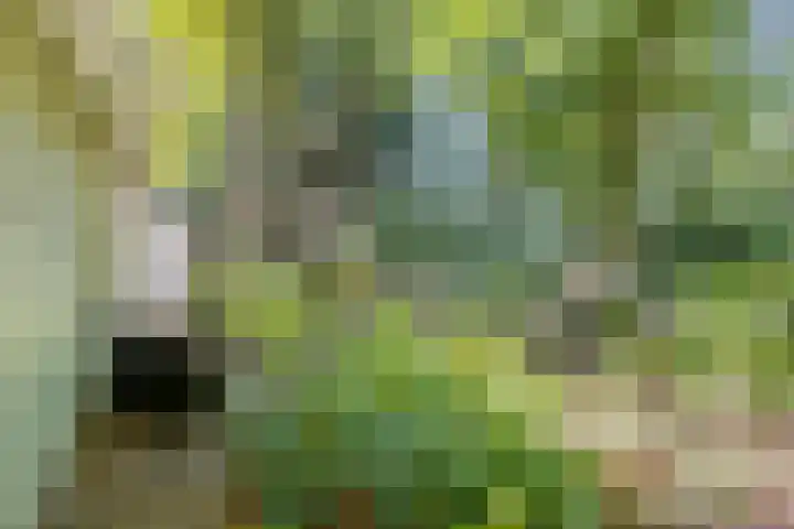 Potdijk 8 G51 Markelo thumbnail 29
