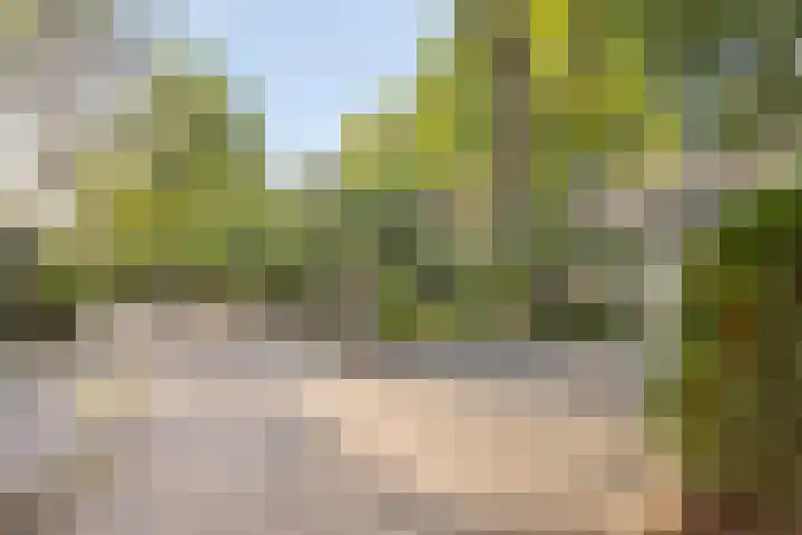 Potdijk 8 G51 Markelo thumbnail 31