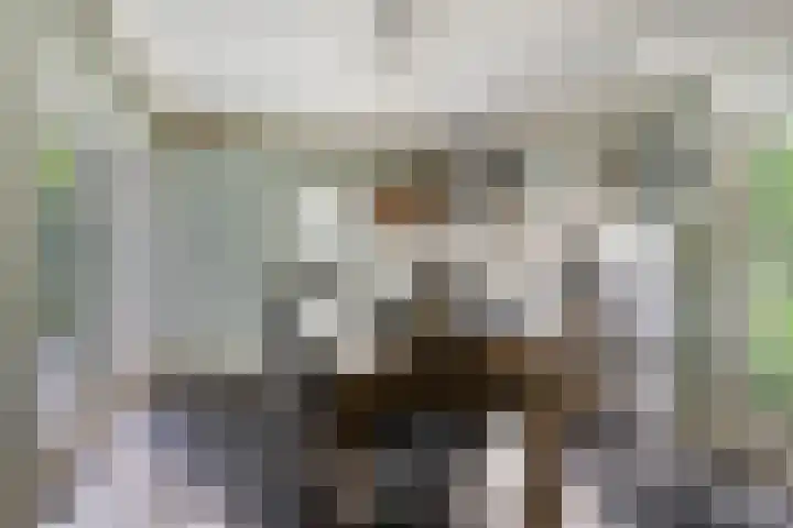 Potdijk 8 G51 Markelo thumbnail 8