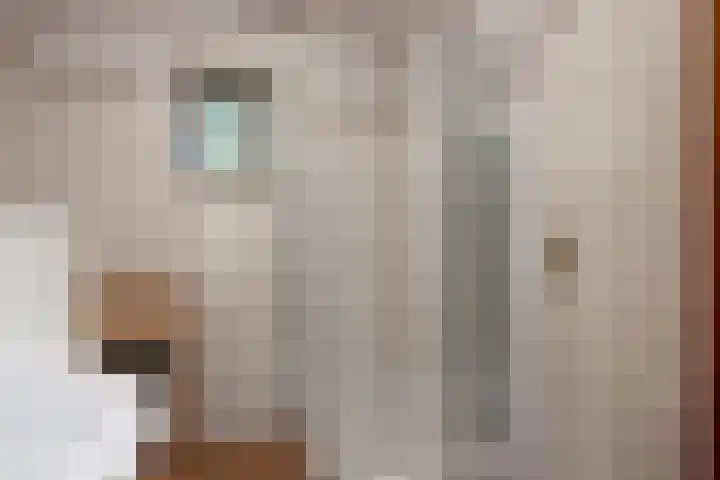 Potdijk 8 G54 Markelo thumbnail 20
