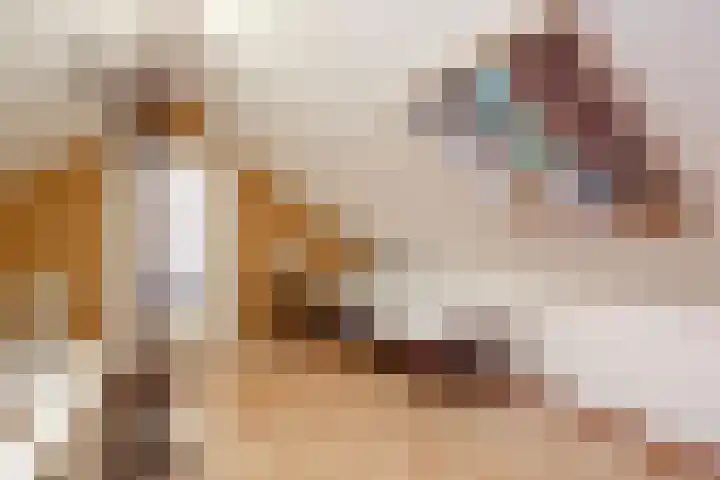 Potdijk 8 G54 Markelo thumbnail 22