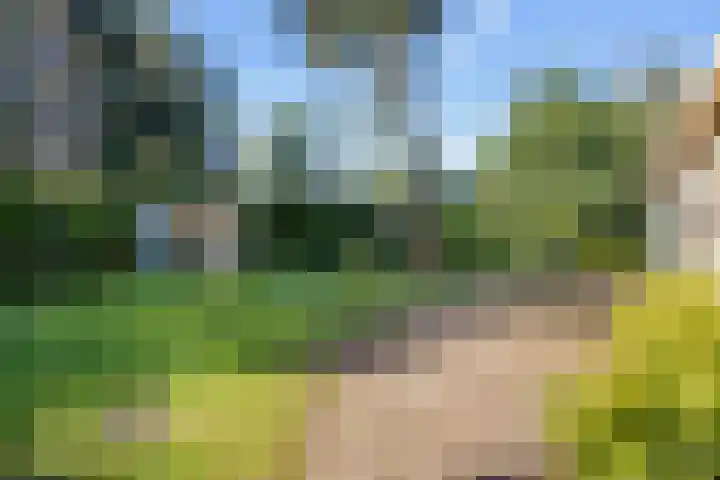 Potdijk 8 G54 Markelo thumbnail 26