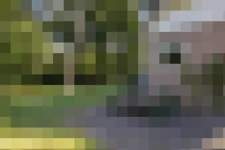 Potdijk 8 G54 Markelo thumbnail 31