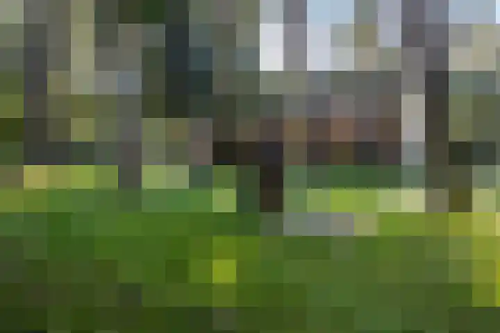 Potdijk 8 G54 Markelo thumbnail 32