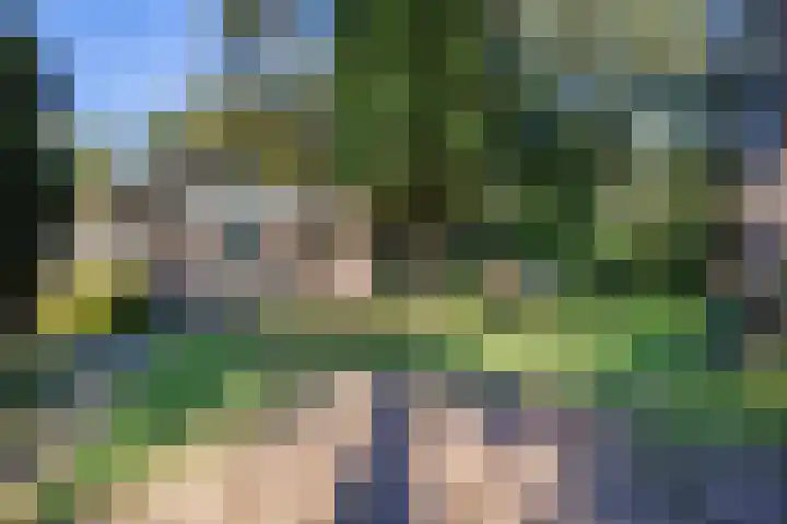 Potdijk 8 G54 Markelo thumbnail 33