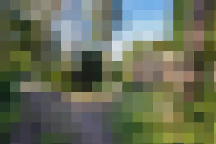 Potdijk 8 G54 Markelo thumbnail 34