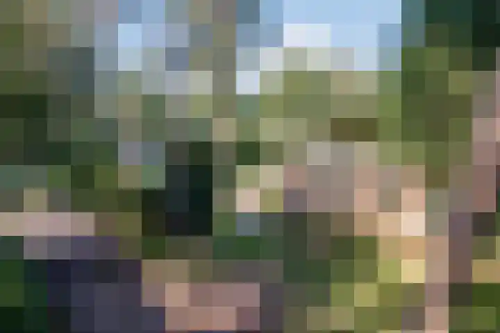 Potdijk 8 G54 Markelo thumbnail 35