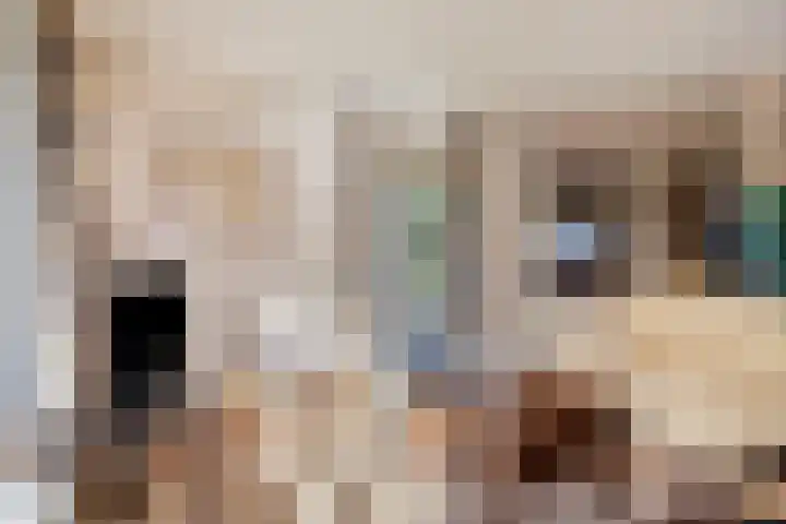 Potdijk 8 G54 Markelo thumbnail 8