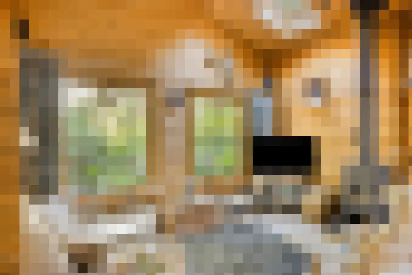 Potdijk 8 H21 Markelo thumbnail 10