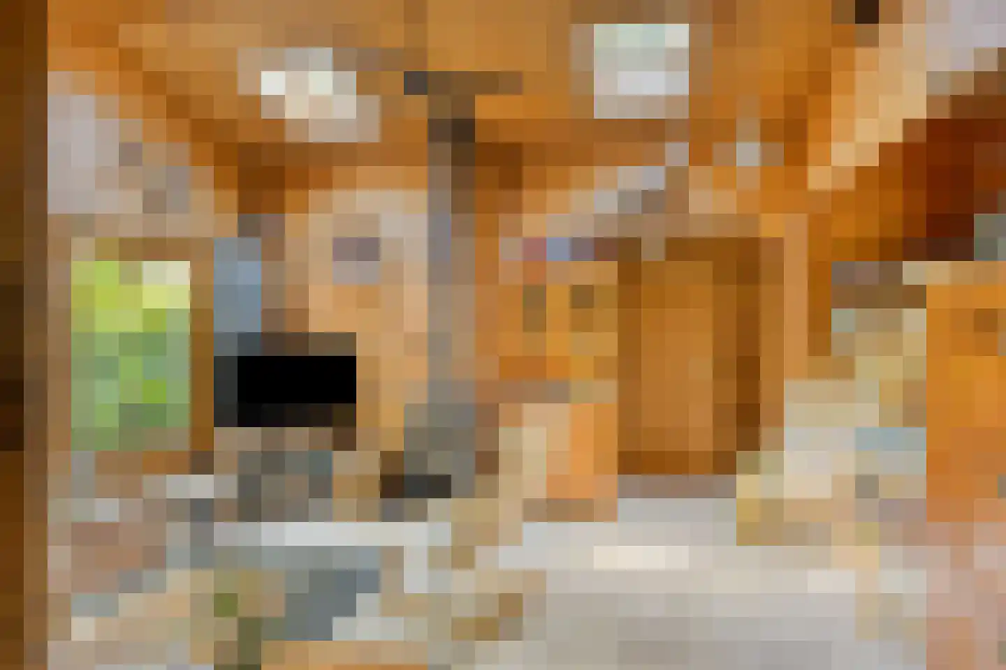 Potdijk 8 H21 Markelo thumbnail 11