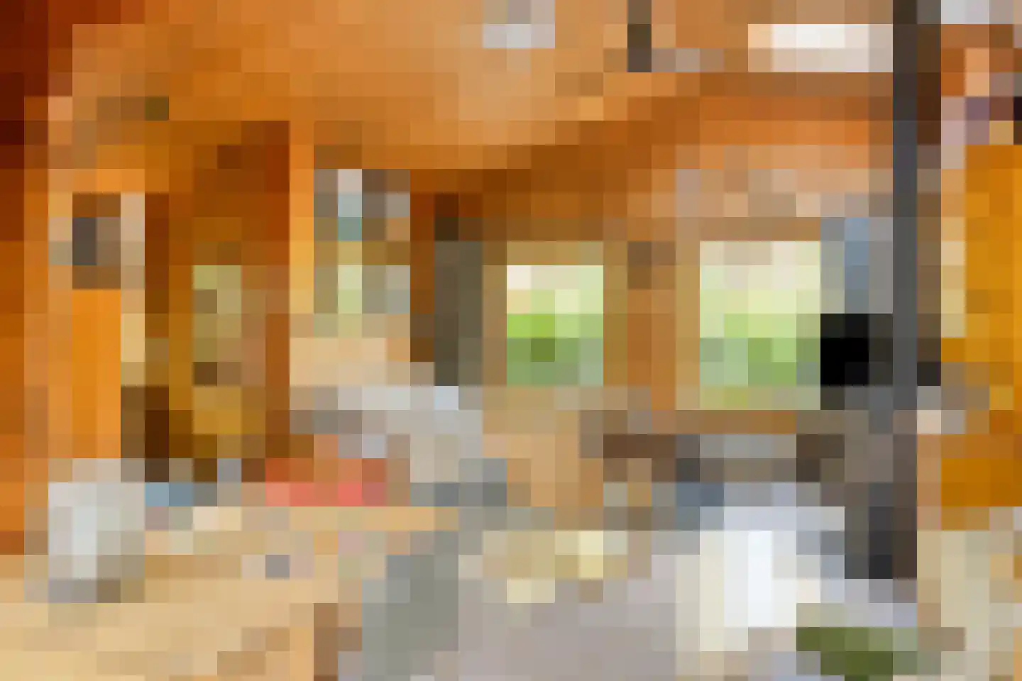 Potdijk 8 H21 Markelo thumbnail 16