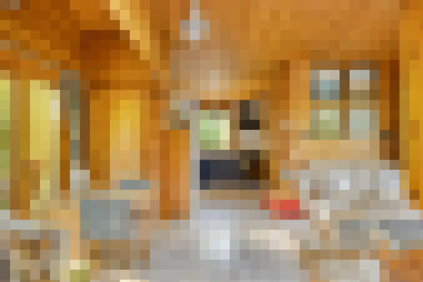 Potdijk 8 H21 Markelo thumbnail 17