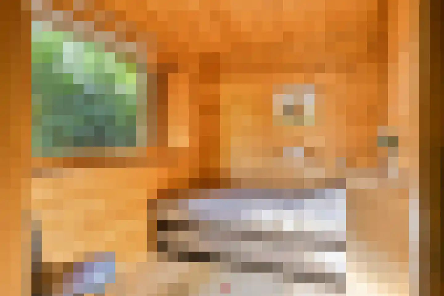 Potdijk 8 H21 Markelo thumbnail 19
