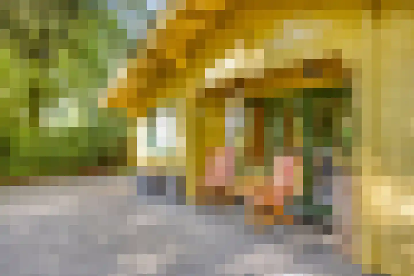 Potdijk 8 H21 Markelo thumbnail 24