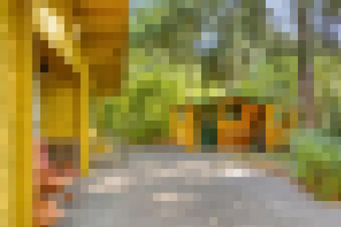 Potdijk 8 H21 Markelo thumbnail 25