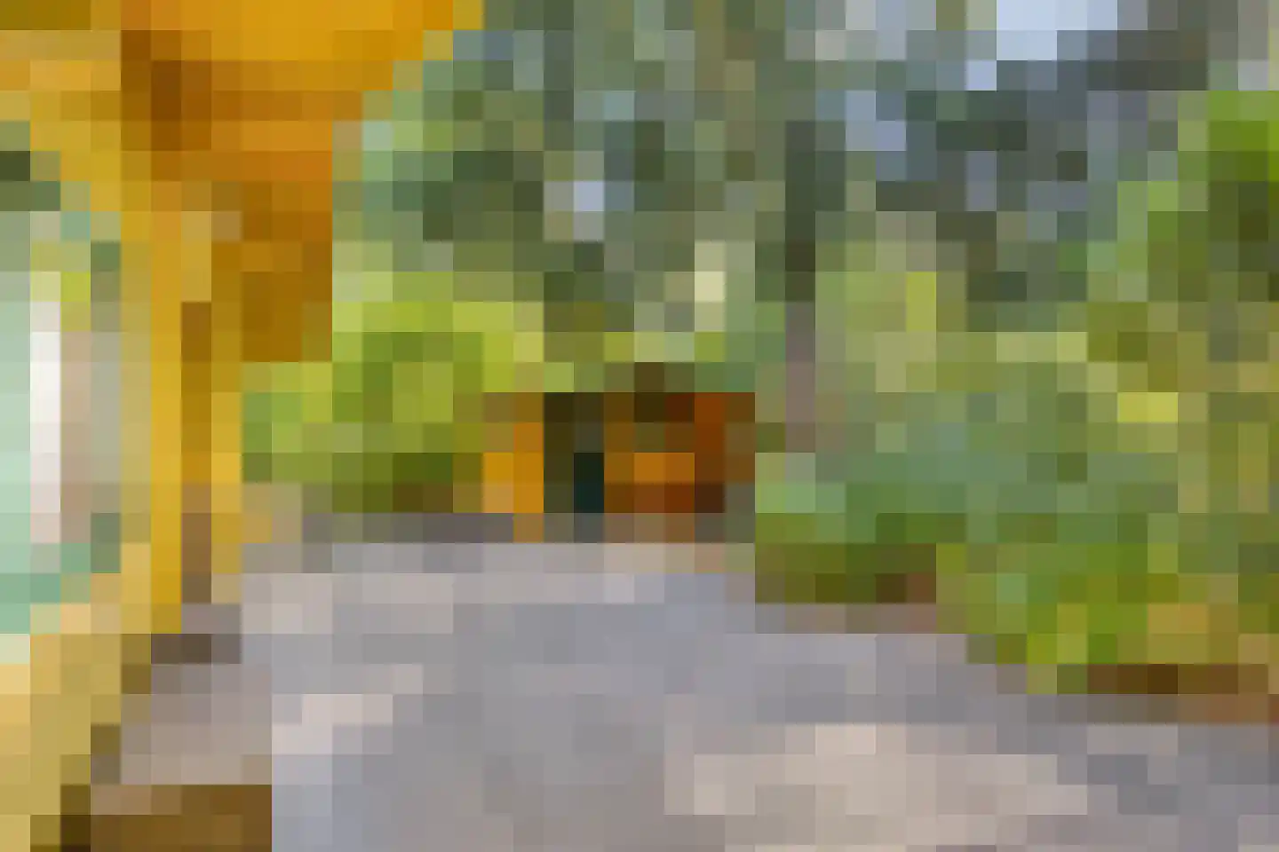 Potdijk 8 H21 Markelo thumbnail 7