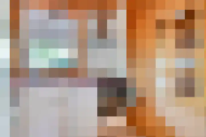 Potdijk 8 H26 Markelo thumbnail 10