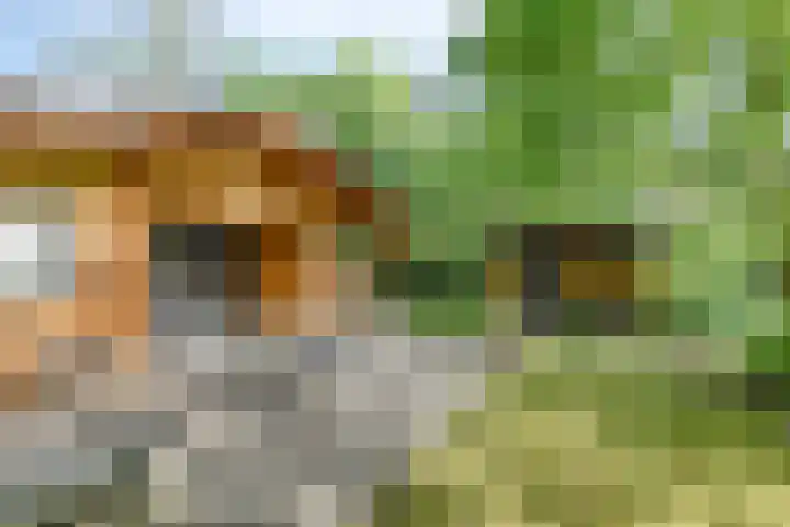 Potdijk 8 H26 Markelo thumbnail 16