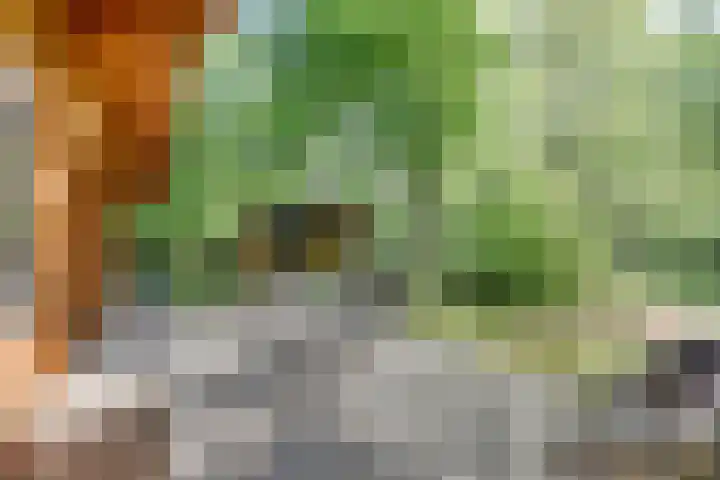 Potdijk 8 H26 Markelo thumbnail 17