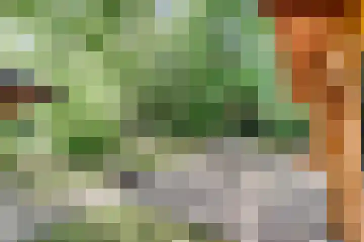 Potdijk 8 H26 Markelo thumbnail 18