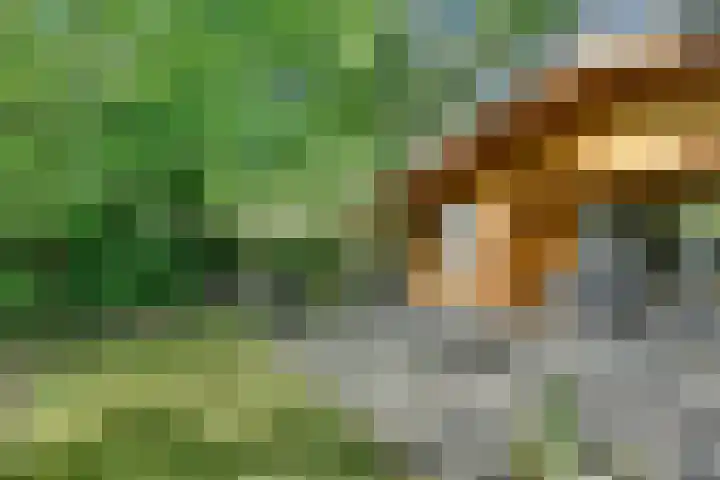 Potdijk 8 H26 Markelo thumbnail 19