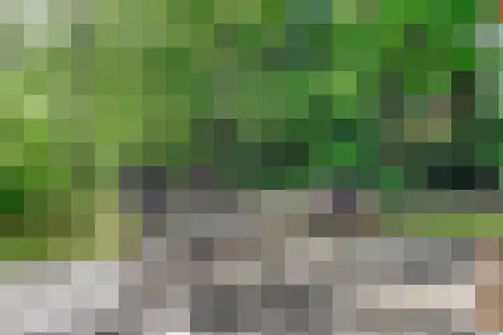 Potdijk 8 H26 Markelo thumbnail 20