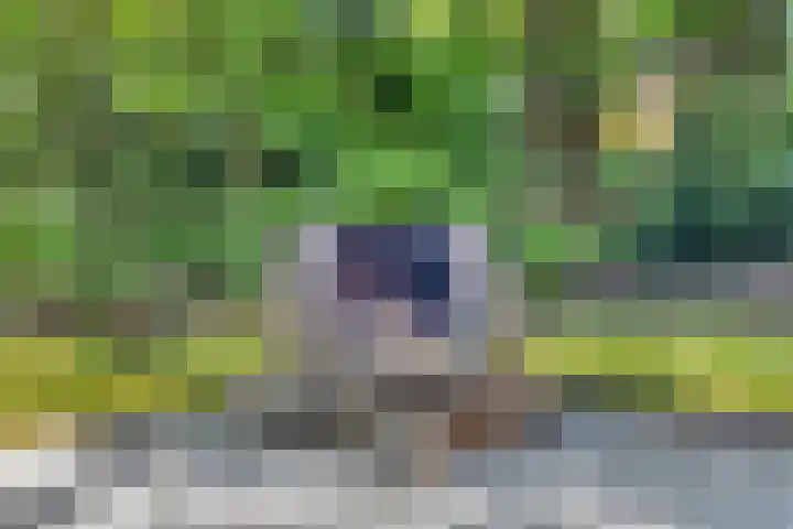 Potdijk 8 H26 Markelo thumbnail 21