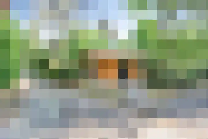 Potdijk 8 H26 Markelo thumbnail 25