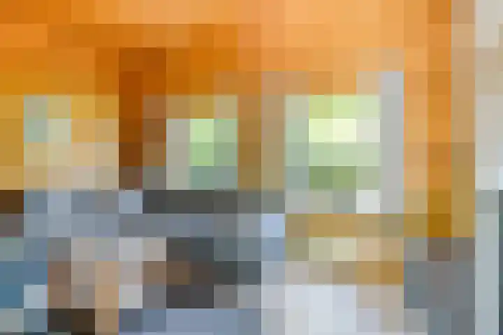 Potdijk 8 H26 Markelo thumbnail 5