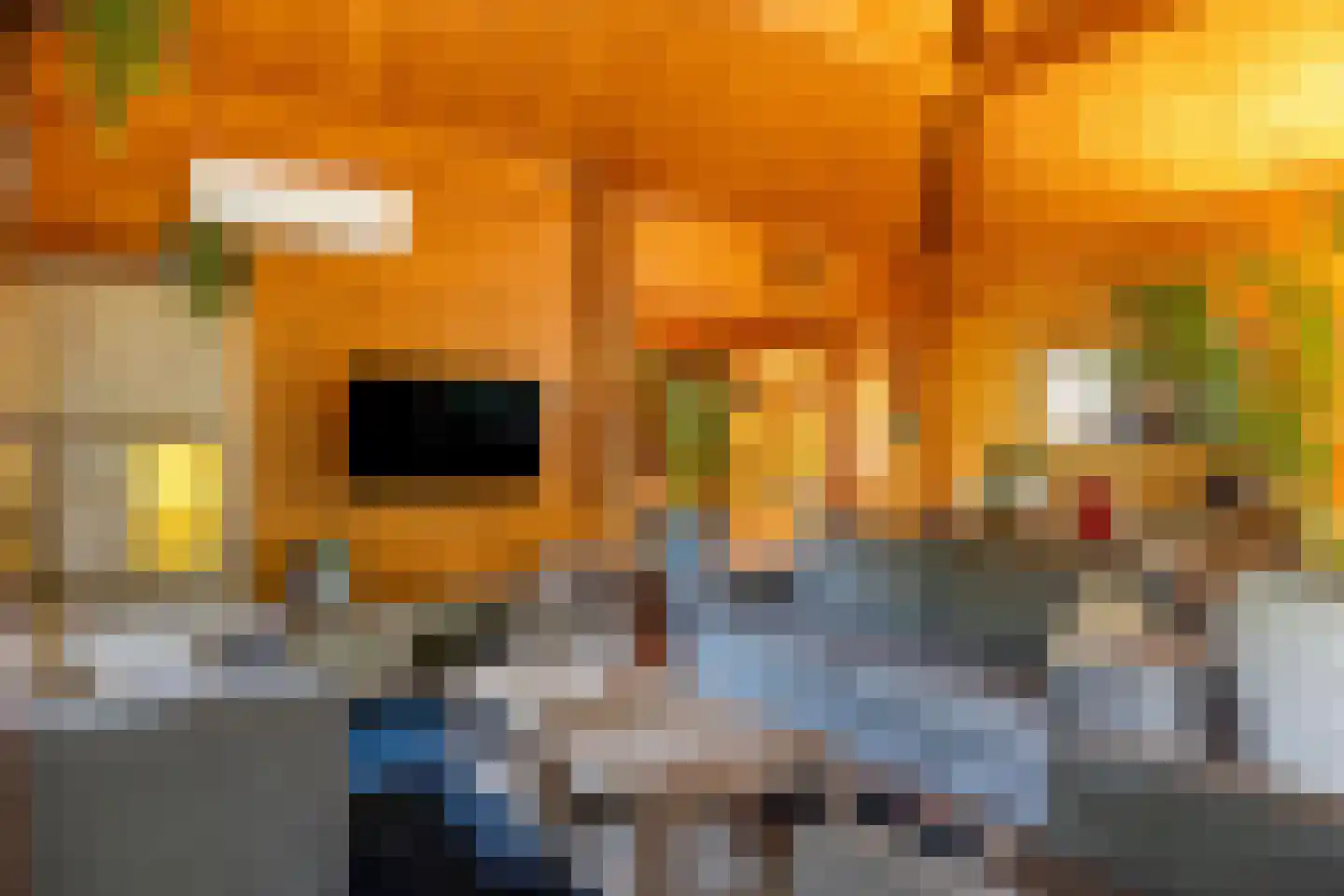 Potdijk 8 H290 Markelo thumbnail 13