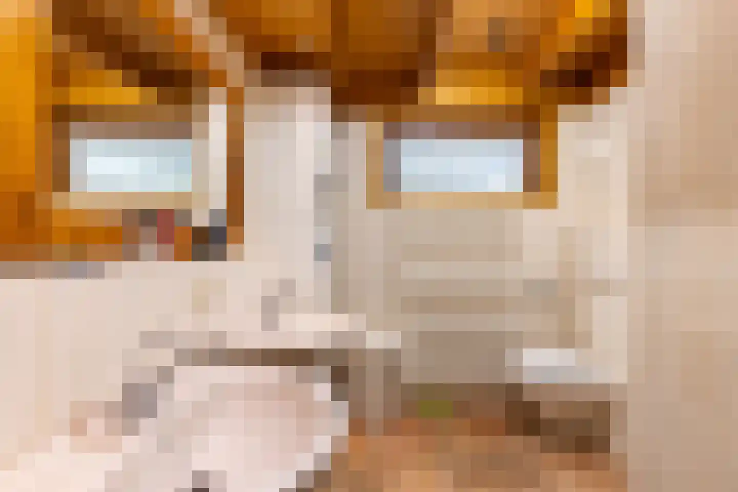 Potdijk 8 H290 Markelo thumbnail 27
