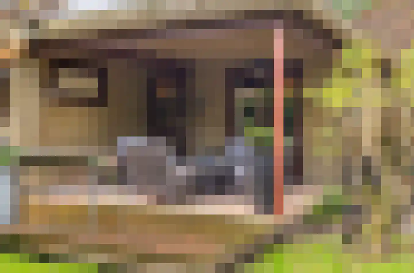 Potdijk 8 H290 Markelo thumbnail 30