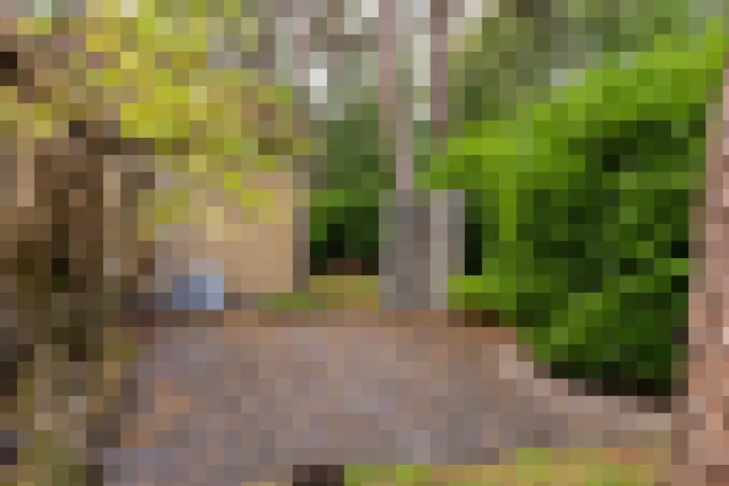 Potdijk 8 H290 Markelo thumbnail 33