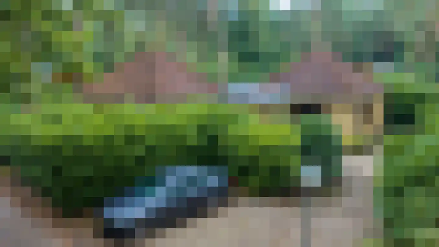 Potdijk 8 H290 Markelo thumbnail 38