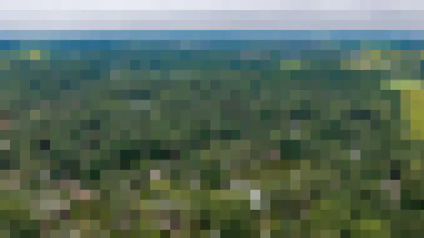 Potdijk 8 H290 Markelo thumbnail 43