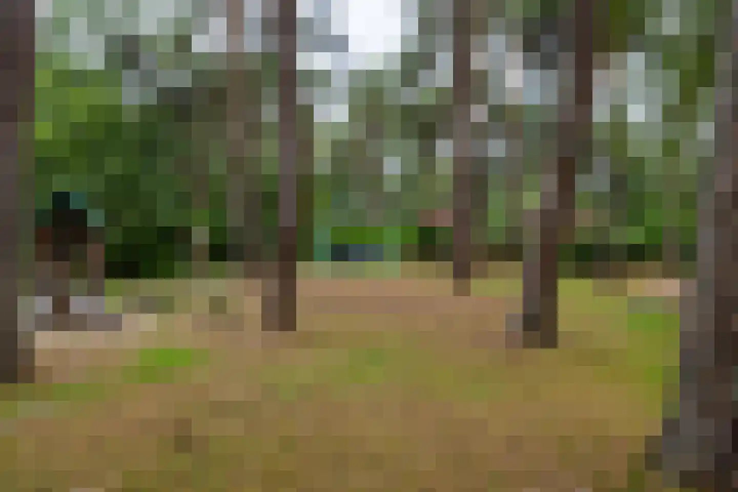 Potdijk 8 H290 Markelo thumbnail 44