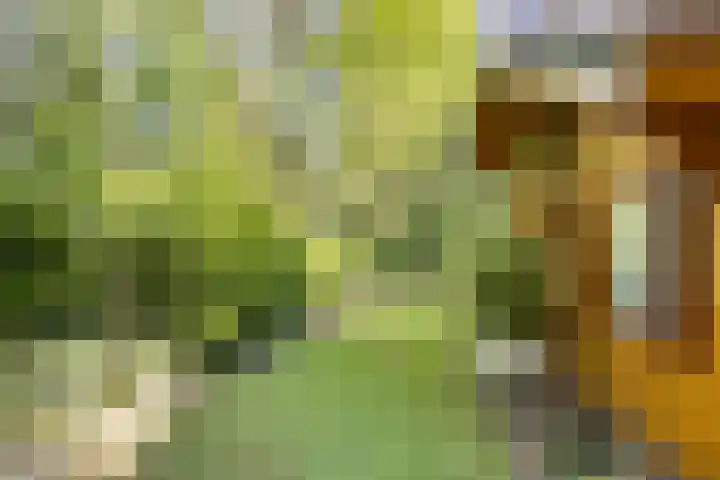 Potdijk 8 H32 Markelo thumbnail 33