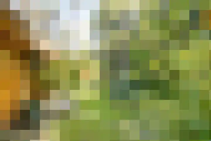 Potdijk 8 H32 Markelo thumbnail 34