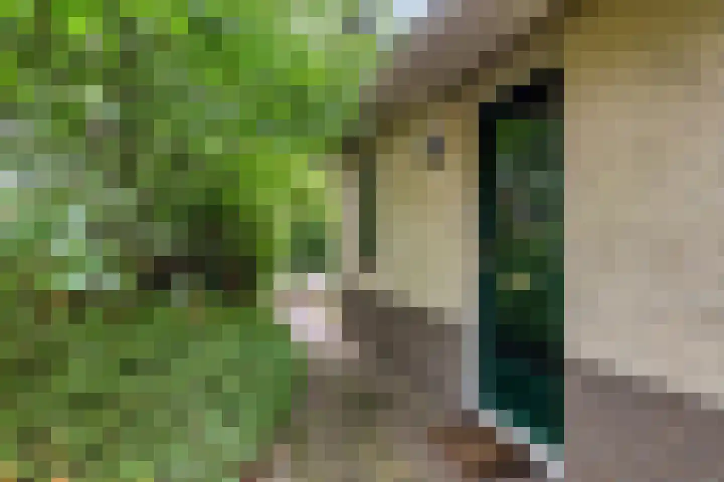 Potdijk 8 H6 Markelo thumbnail 17
