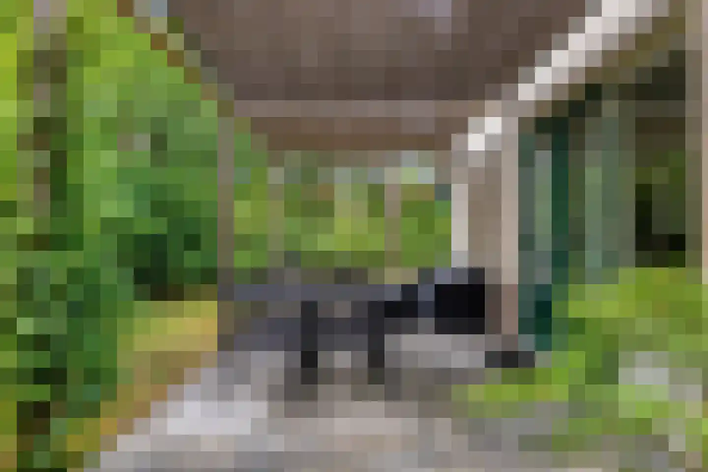 Potdijk 8 H6 Markelo thumbnail 18