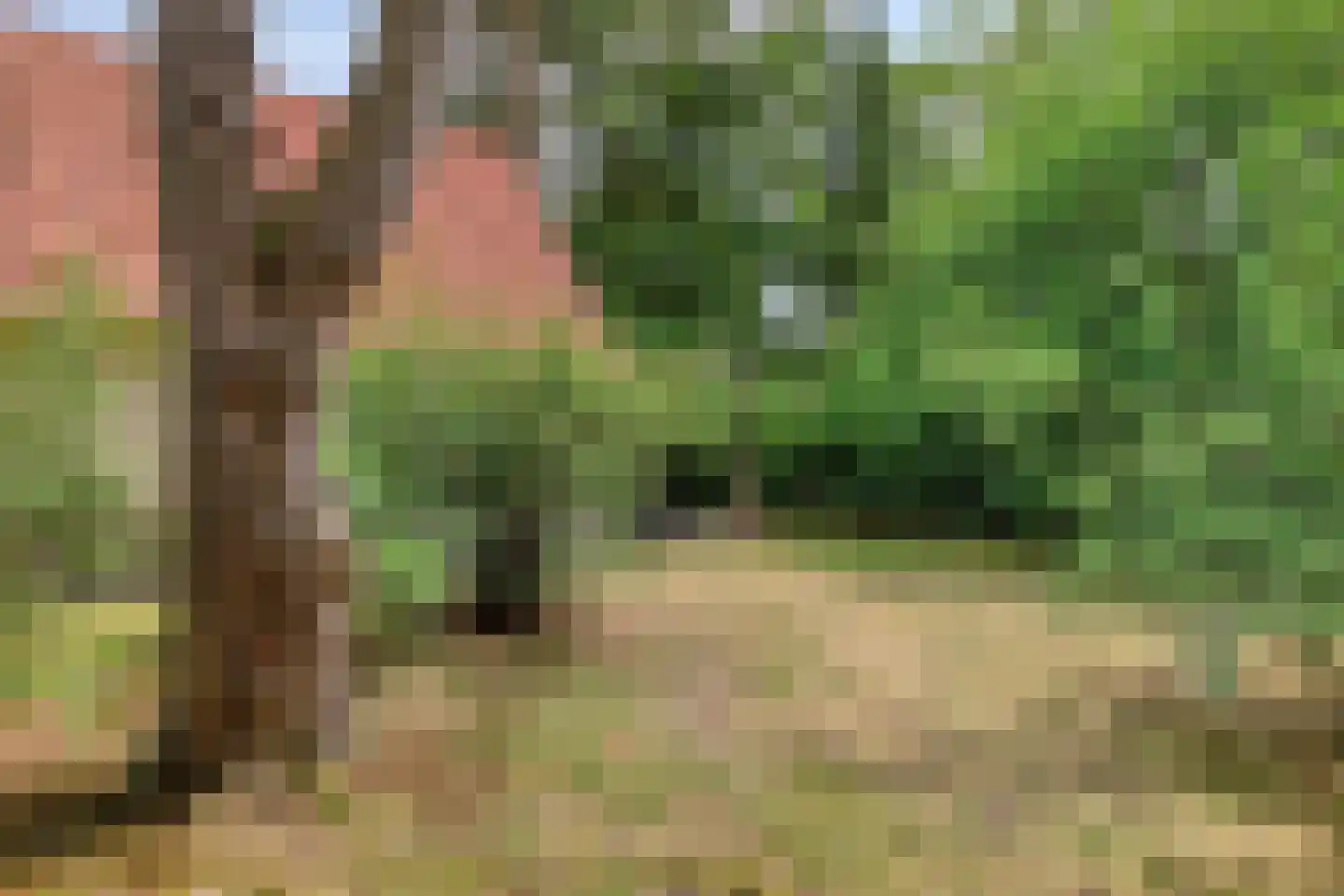 Potdijk 8 H6 Markelo thumbnail 20