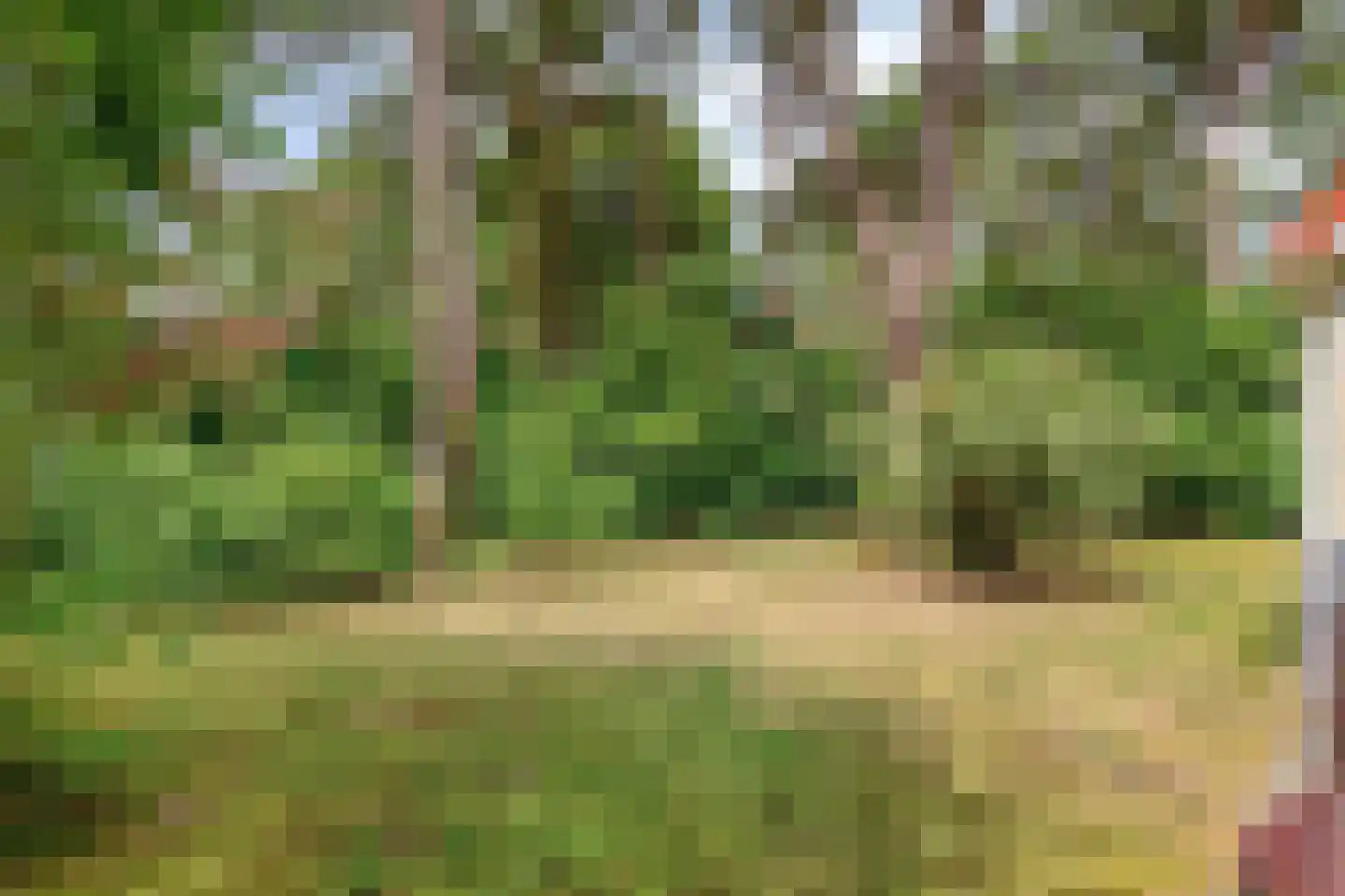 Potdijk 8 H6 Markelo thumbnail 22