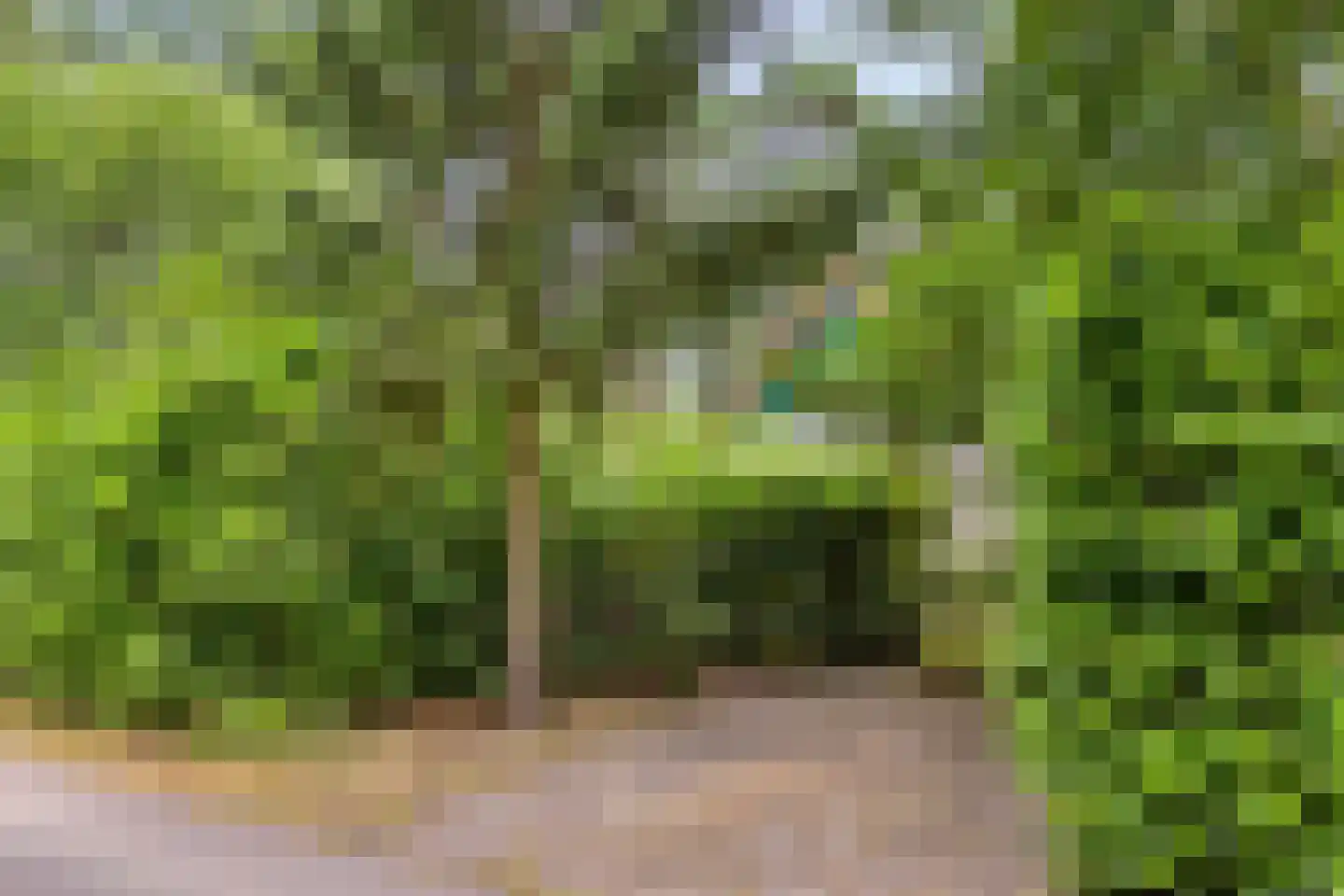 Potdijk 8 H6 Markelo thumbnail 23