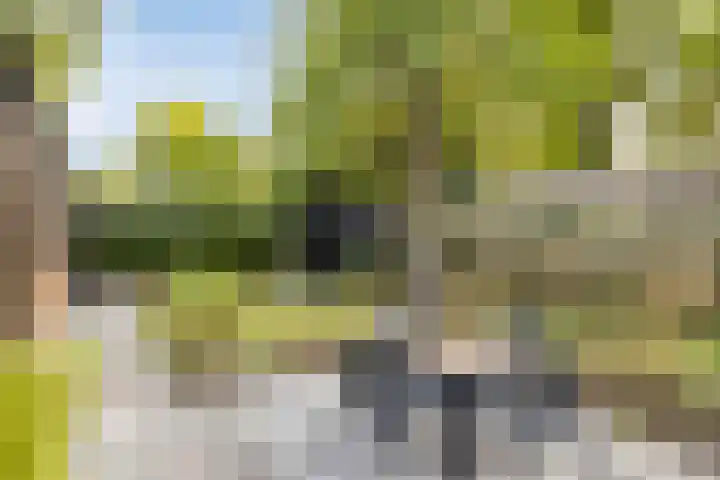 Potdijk 8 S033 Markelo thumbnail 30