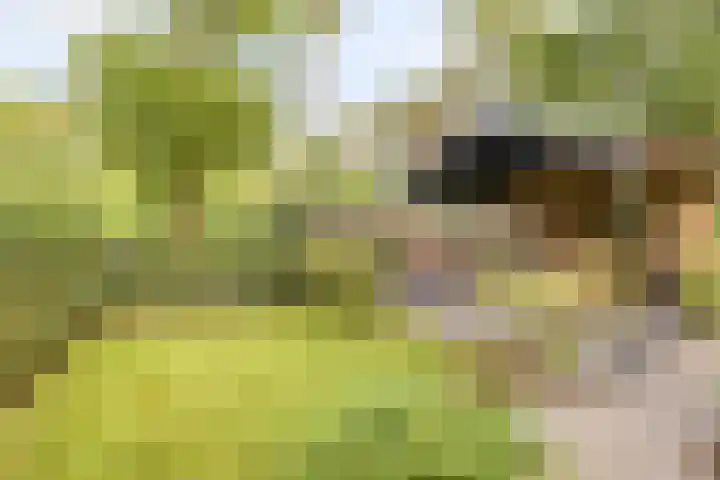 Potdijk 8 S033 Markelo thumbnail 31