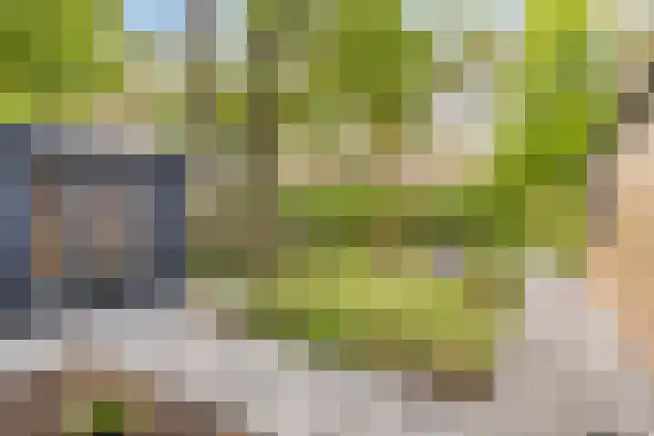 Potdijk 8 S033 Markelo thumbnail 33