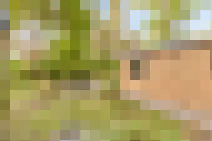 Potdijk 8 S033 Markelo thumbnail 34