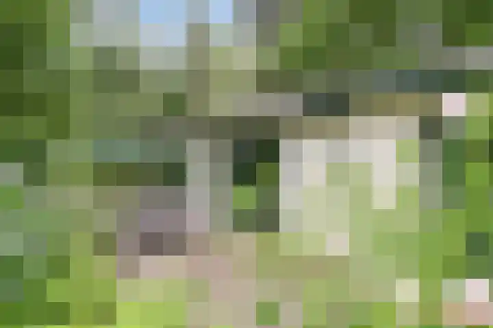 Potdijk 8 S096 Markelo thumbnail 22