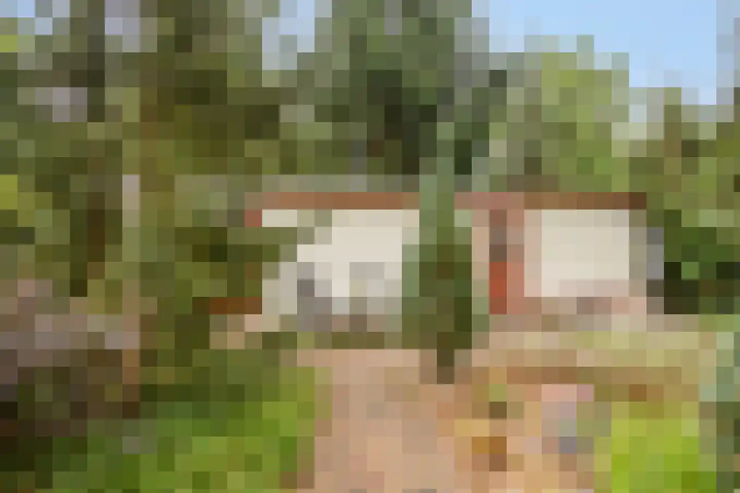 Potdijk 8 S102 Markelo thumbnail 8