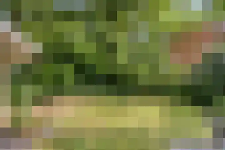 Potdijk 8 S124 Markelo thumbnail 21